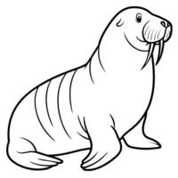 Walrus flat style illustration vector