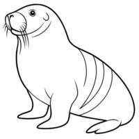 Walrus flat style illustration vector