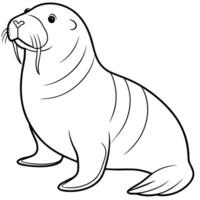 Walrus flat style illustration vector