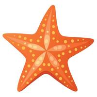 Starfish flat style illustration, Carton style vector