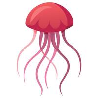 Jellyfish flat style illustration vector