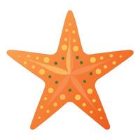 Starfish flat style illustration, Carton style vector