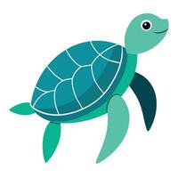 mar Tortuga ilustración plano estilo, Tortuga caja de cartón vector