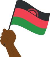 Hand holding and raising the national flag of Malawi vector