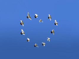 Love symbol from pigeons on blue sky photo