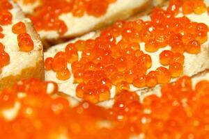 Red caviar sandwich, close-up photo