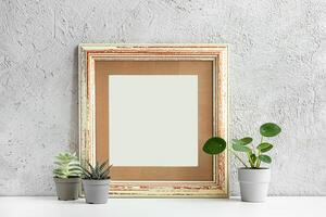 Home plants and a photo frame