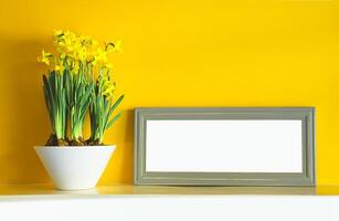 Daffodils and a photoframe on a yellow background photo