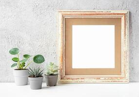 Photo frame and home plants