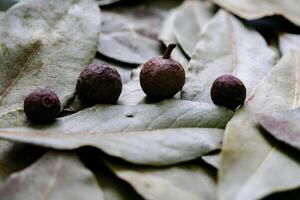 Black peppercorns and bay leaves photo