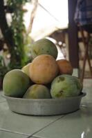 Mango apples or Mangifera indica L harvested from the garden photo