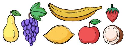 Set with fruits in doodle style vector