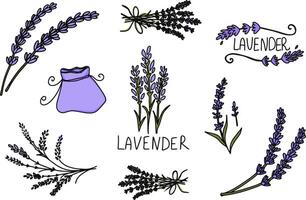 Lavender logo and branch. Hand drawn wedding herb, plant and monogram vector