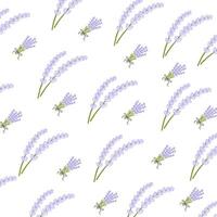 Lavender pattern with purple flowers and branches. Seamless floral background vector