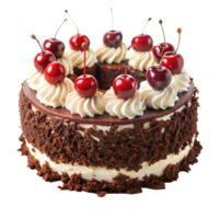 A chocolate cake topped with red cherries and fluffy whipped cream on a white plate png