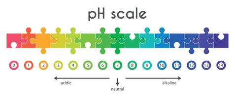 escala de ph valores para base ácida solución en formar de rompecabezas infografia de base ácida equilibrar aislado en blanco antecedentes. indicador de hidrógeno ion concentración en solución. ilustración. vector