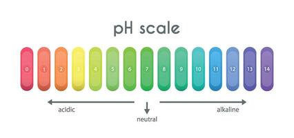 ph valor escala gráfico para ácido-alcalino solución. base ácida equilibrar infografía aislado en blanco antecedentes. indicador para concentración de hidrógeno ion en solución. ilustración. vector