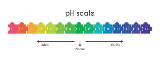 escala de ph valores para base ácida solución en formar de rompecabezas infografia de base ácida equilibrar aislado en blanco antecedentes. indicador de hidrógeno ion concentración en solución. ilustración. vector