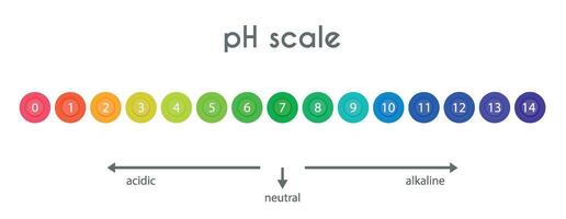 ph valor escala gráfico para ácido-alcalino solución. base ácida equilibrar infografía aislado en blanco antecedentes. indicador para concentración de hidrógeno ion en solución. ilustración. vector