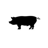 image of a black pig vector