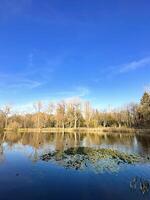 Ducks swim in a tranquil pond surrounded by autumnal trees with vivid reflections on the waters surface, perfect for seasonal themes photo