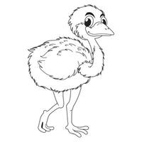 Ostrich Black and White Illustration vector