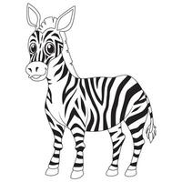 Zebra Black and White Illustration vector