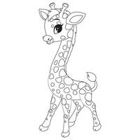 Giraffe Black and White Illustration vector