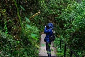 A traveler taking photo by a camera in the jungle of Costa Rica