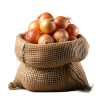 Fresh onions in a burlap sack on a transparent background png