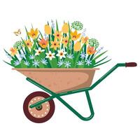 A garden cart with yellow spring flowers. Daffodils and tulips in a wheelbarrow. Illustrated clipart. vector