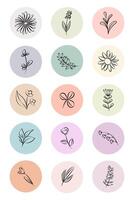 floral labels for natural and organic product vector