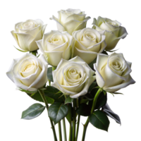 Elegant white roses bouquet on a seamless backdrop png