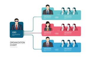 Infographic template for organization chart with business avatar icons. infographic for business. vector