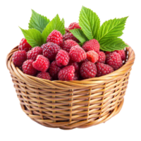 Fresh raspberries in a wicker basket png