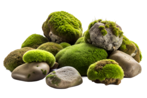 Green moss covered pile of rocks png