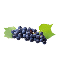 generated ai Grapes with leaf isolated on transparent background png