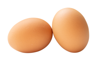 Front view of two brown chicken eggs isolated with clipping path in file format png