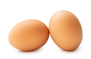 Front view of two brown chicken eggs isolated with clipping path and shadow in file format png