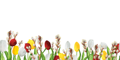 desatado floral fronteiras com colorida vermelho, branco e amarelo tulipas e adorável salgueiro galhos. mais baixo fronteira. desenhado à mão aguarela ilustração. png