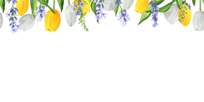 Seamless floral borders with colorful white and yellow tulips and blue lavender. Upper border. Hand-drawn watercolor illustration. png