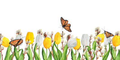 sömlös blommig gräns med färgrik vit och gul tulpaner och fitta-pil grenar och fjärilar. ritad för hand vattenfärg illustration. png