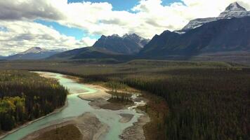 aéreo ver de el athabasca río en alberta, Canadá. video