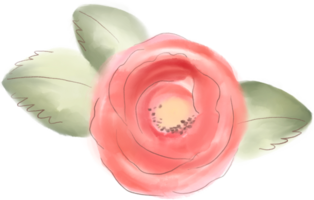 abstract bloem schattig kawaii geïsoleerd elementen png