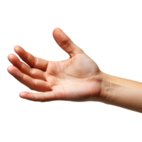hand gestures on a transparent background png
