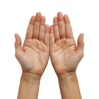 hand gestures on a transparent background png