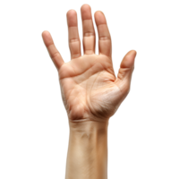 Hand Gesten auf ein transparent Hintergrund png