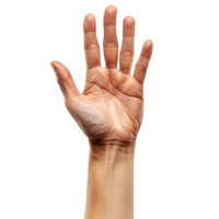 hand- gebaren Aan een transparant achtergrond png