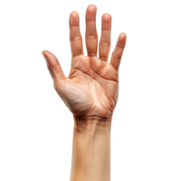 hand gester på en transparent bakgrund png