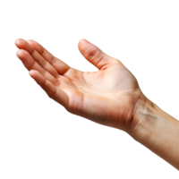 hand gestures on a transparent background png